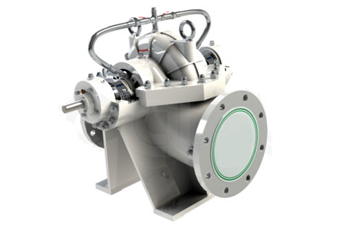 DFSS Stainless Steel Double Suction Pump