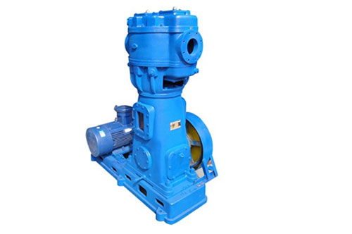 WLW Reciprocating Vacuum Pump