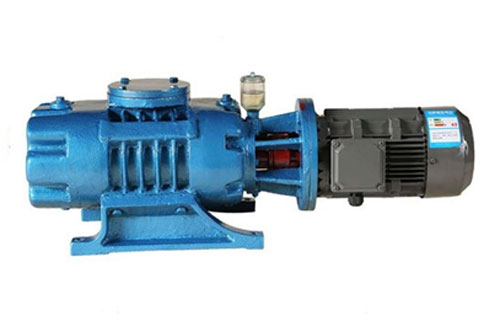 ZJP Roots Vacuum Pump